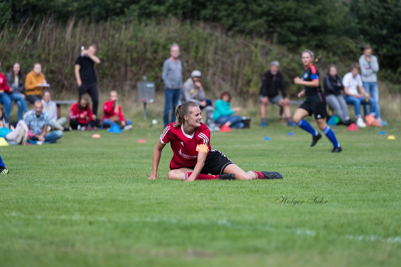 Bild 207 - Frauen SG NieBar - HSV 2 : Ergebnis: 4:3